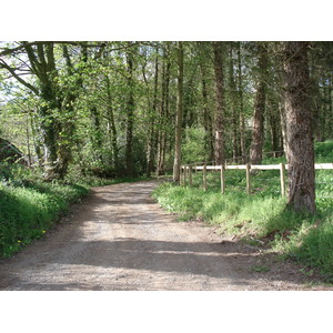 照片 英国(United Kingdom) 瓦伊河谷(Wye Valley) 2006-05 45