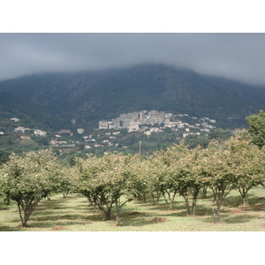 照片 法国(France) 科西嘉岛(Corsica) 塞尔维奥内(Cervione) 2006-09 53