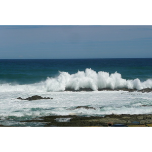 照片 南非(South Africa) 齐齐卡马国家公园(Tsitsikamma National Park) 2008-09 122