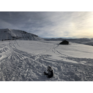 照片 法国(France) 阿尔利河畔普拉(Praz sur Arly) 2019-12 325
