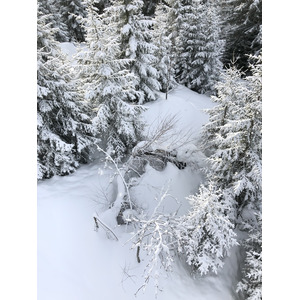 照片 法国(France) 拉克吕萨(La Clusaz) 2017-12 361