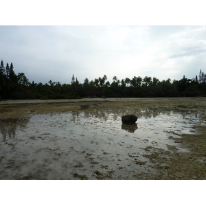 照片 新喀里多尼亚(New Caledonia) 松树岛(Ile des pins) 奥罗湾(Oro Bay) 2010-05 12