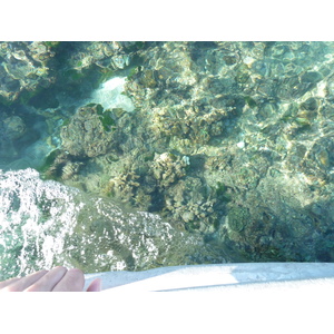 照片 斐济(Fiji) 漂流者岛(Castaway Island) 2010-05 214
