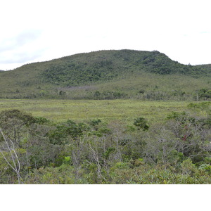 照片 新喀里多尼亚(New Caledonia) 蓝河公园(Parc de la Riviere Bleue) 2010-05 78