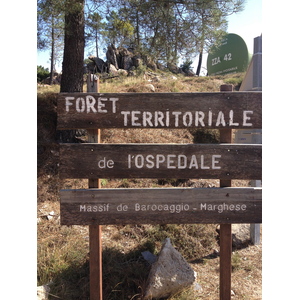 照片 法国(France) 科西嘉岛(Corsica) 奥斯佩达莱森林(L'ospedale Forest) 2012-09 67