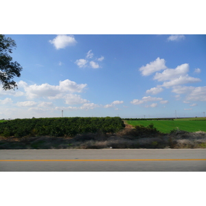照片 以色列(Israel) 特拉维夫至贝尔谢巴公路(Tel Aviv to Beer Sheva road) 2007-12 8