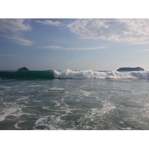 照片 哥斯达黎加(Costa Rica) 曼努埃尔安东尼奥(Manuel Antonio) 2015-03 18