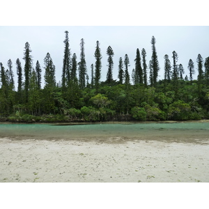 照片 新喀里多尼亚(New Caledonia) 松树岛(Ile des pins) 奥罗湾(Oro Bay) 2010-05 30