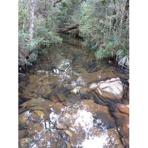照片 新喀里多尼亚(New Caledonia) 蓝河公园(Parc de la Riviere Bleue) 2010-05 41