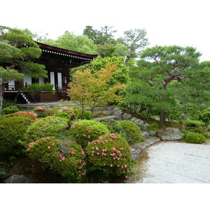 照片 日本(Japan) 京都(Kyoto) 仁和寺御殿(Ninna ji imperial Residence) 2010-06 81