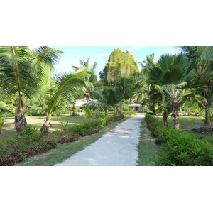 照片 塞舌尔(Seychelles) 拉齐奥湾(Anse Lazio) 2011-10 40