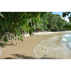 照片 塞舌尔(Seychelles) 马埃岛(Mahe) 2011-10 239