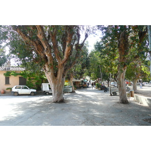 照片 法国(France) 波克罗勒岛(Porquerolles Island) 波克罗勒(Porquerolles) 2008-05 39