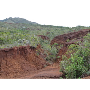 照片 新喀里多尼亚(New Caledonia) 蓝河公园(Parc de la Riviere Bleue) 2010-05 53