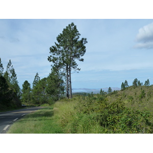 照片 新喀里多尼亚(New Caledonia) 通图塔至蒂奥公路(Tontouta to Thio road) 2010-05 88