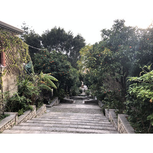 照片 意大利(Italy) 西西里岛(Sicily) 陶尔米纳(Taormina) 2020-02 133