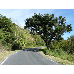 照片 新喀里多尼亚(New Caledonia) 通图塔至蒂奥公路(Tontouta to Thio road) 2010-05 81