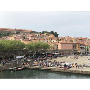 照片 法国(France) 科利乌尔(Collioure) 2018-04 160