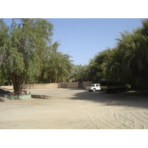 照片 阿联酋(United Arab Emirates) 艾因(Al Ain) 2005-03 39