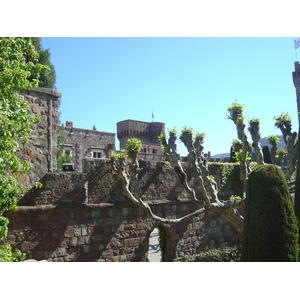 照片 法国(France) 拉纳普勒(La Napoule) 2005-05 45