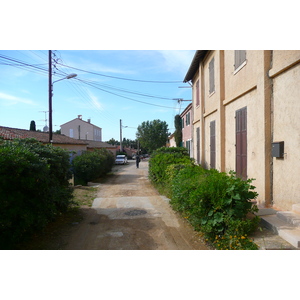 照片 法国(France) 波克罗勒岛(Porquerolles Island) 波克罗勒(Porquerolles) 2008-05 13