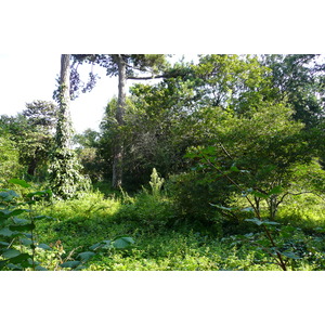 照片 法国(France) 巴黎(Paris) 巴黎植物园(Jardin des Plantes) 2007-08 129