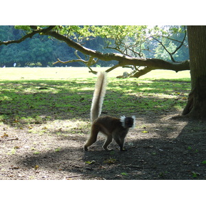 照片 法国(France) 布朗费尔(Branfere) 2004-08 0