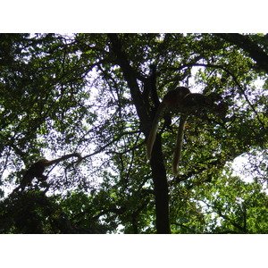 照片 法国(France) 布朗费尔(Branfere) 2004-08 2