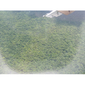 照片 新喀里多尼亚(New Caledonia) 航拍(From the Sky) 2010-05 35