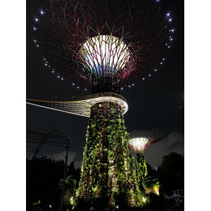 照片 新加坡(Singapore) 滨海湾花园(Garden by the bay) 2023-01 48