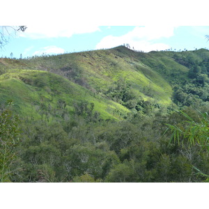 照片 新喀里多尼亚(New Caledonia) 通图塔至蒂奥公路(Tontouta to Thio road) 2010-05 93
