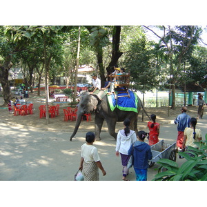 照片 缅甸(Myanmar) 仰光(Yangon) 2005-01 117