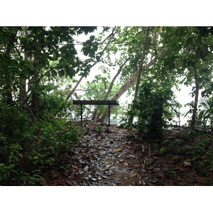 照片 哥斯达黎加(Costa Rica) 卡维塔(Cahuita) 2015-03 271