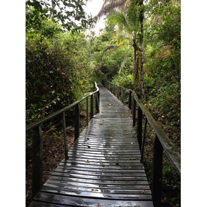 照片 哥斯达黎加(Costa Rica) 2015-03 8