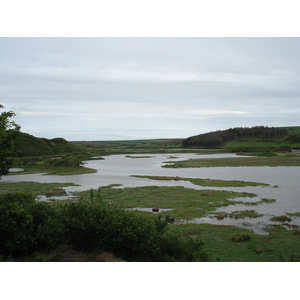 照片 英国(United Kingdom) 彭布罗克郡(Pembrokeshire) 戴尔(Dale) 2006-05 5