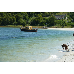 照片 英国(United Kingdom) 苏格兰(Scotland) 阿里塞格海岸(Arisaig coast) 2011-07 59