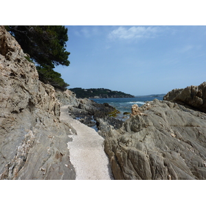 照片 法国(France) 吉安半岛(Giens Peninsula) 2009-05 7