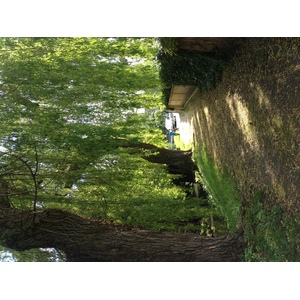 照片 法国(France) 里昂拉福雷(Lyons La Foret) 2014-05 73