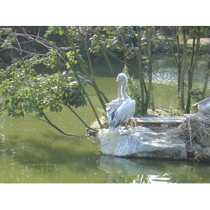 照片 法国(France) 布朗费尔(Branfere) 2004-08 11