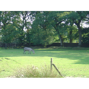 照片 法国(France) 布朗费尔(Branfere) 2004-08 13