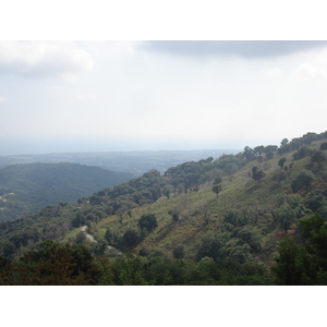 照片 法国(France) 科西嘉岛(Corsica) 阿莱萨尼山谷(Valle d'alesani) 2006-09 92