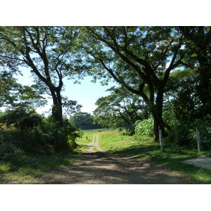 照片 斐济(Fiji) 辛加东卡河(Sigatoka river) 2010-05 43