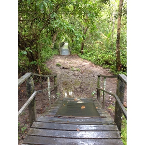 照片 哥斯达黎加(Costa Rica) 卡维塔(Cahuita) 2015-03 254