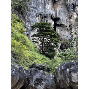 照片 泰国(Thailand) 甲米(Krabi) 2023-01 292