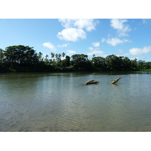 照片 斐济(Fiji) 辛加东卡河(Sigatoka river) 2010-05 0