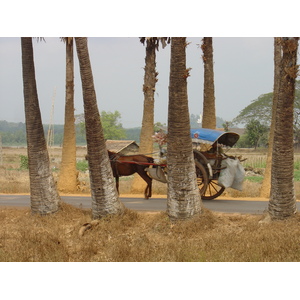 照片 缅甸(Myanmar) 土瓦至茂马干海滩公路(Road from Dawei to Maungmagan beach) 2005-01 19