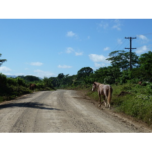 照片 斐济(Fiji) 辛加东卡河(Sigatoka river) 2010-05 92