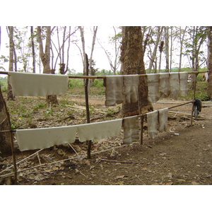 照片 缅甸(Myanmar) 土瓦至茂马干海滩公路(Road from Dawei to Maungmagan beach) 2005-01 46