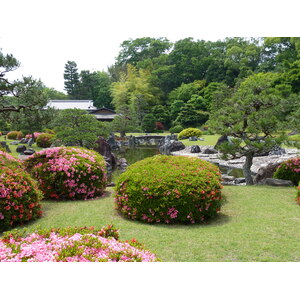 照片 日本(Japan) 京都(Kyoto) 二条城(Nijo Castle) 2010-06 124