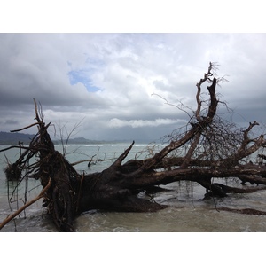 照片 哥斯达黎加(Costa Rica) 卡维塔(Cahuita) 2015-03 216